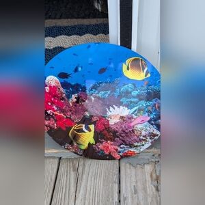 Raccoon Butterflyfish Metal Circular Picture